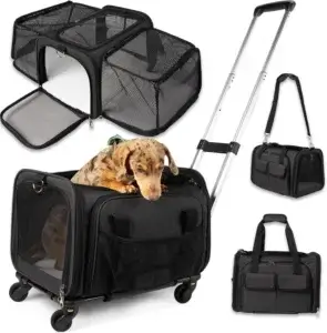 Pet Carrier with Wheels