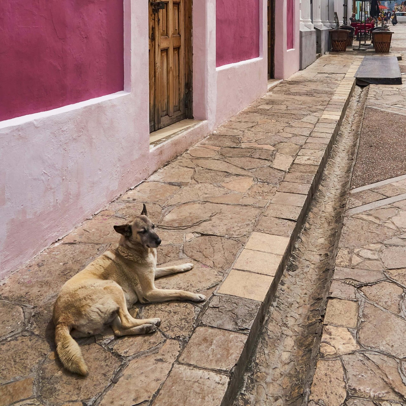 Affordable Dog-Friendly Hotels in Pennsylvania Under $100