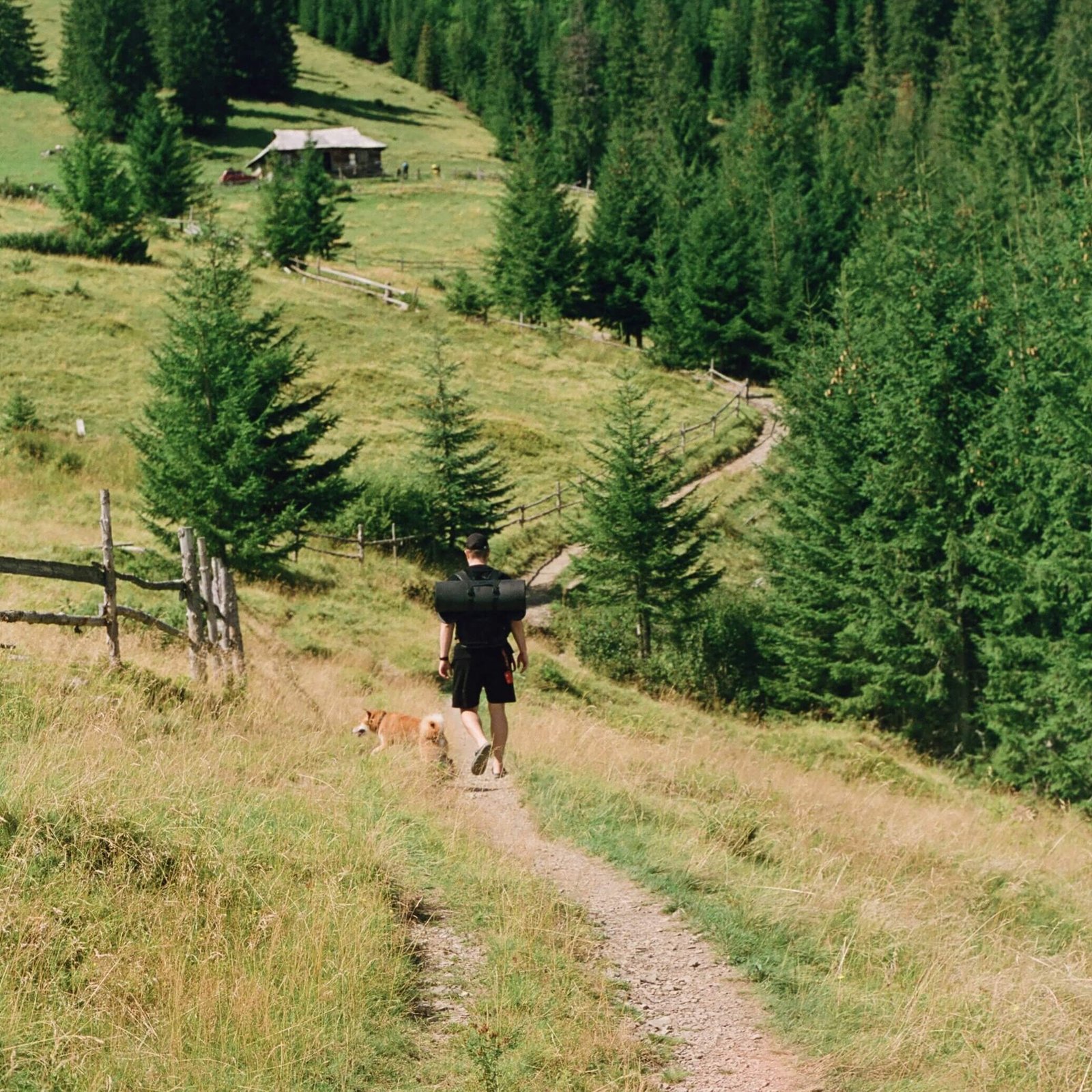 The Ultimate Guide to Pet-Friendly Hotels Near Pennsylvania State Parks for Hiking Adventures