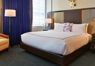 25 Best Luxury Hotels in North Carolina