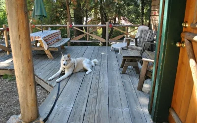 Arrowhead Pine Rose Cabins