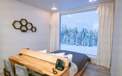 Borealis Basecamp