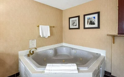 Comfort Inn Meadowlands