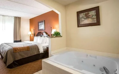 Comfort Inn & Suites at I-85 Comfort Inn & Suites at I-85
