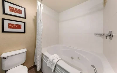 Comfort Suites Near Six Flags Magic Mountain