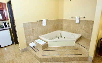 Holiday Inn Express Hotel & Suites Fenton