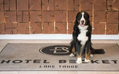 Hotel Becket South Lake Tahoe