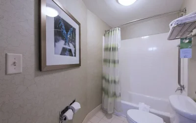 SpringHill Suites by Marriott Devens Common Center
