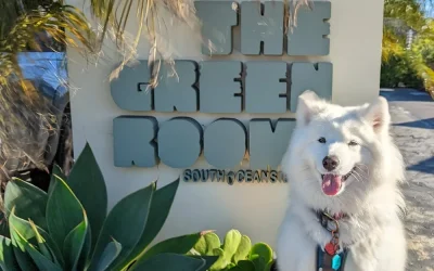 The Green Room Hotel