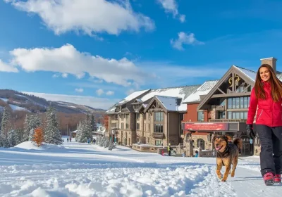 Top Dog-Friendly Ski Hotels in Pennsylvania for Your Winter Getaway